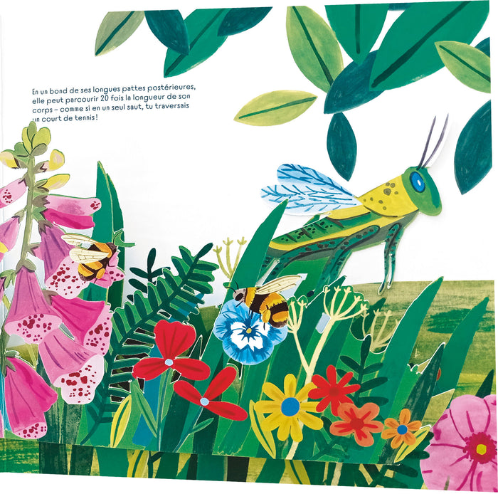 A la découverte des p'tites bêtes - Un livre pop-up