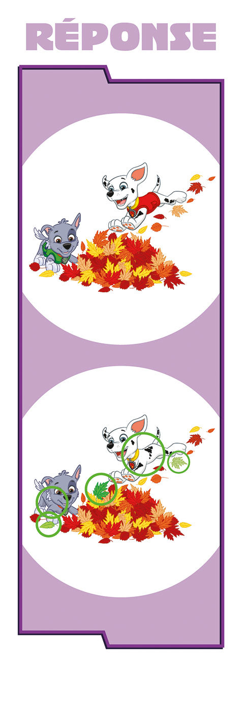 Les incollables - Mon année de Moyenne Section avec la Pat' Patrouille