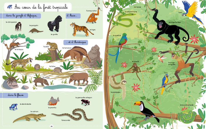 Le Larousse des 1000 mots des animaux