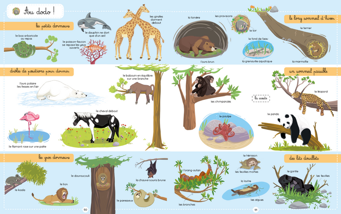 Le Larousse des 1000 mots des animaux