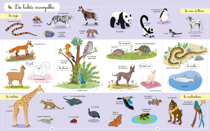 Le Larousse des 1000 mots des animaux