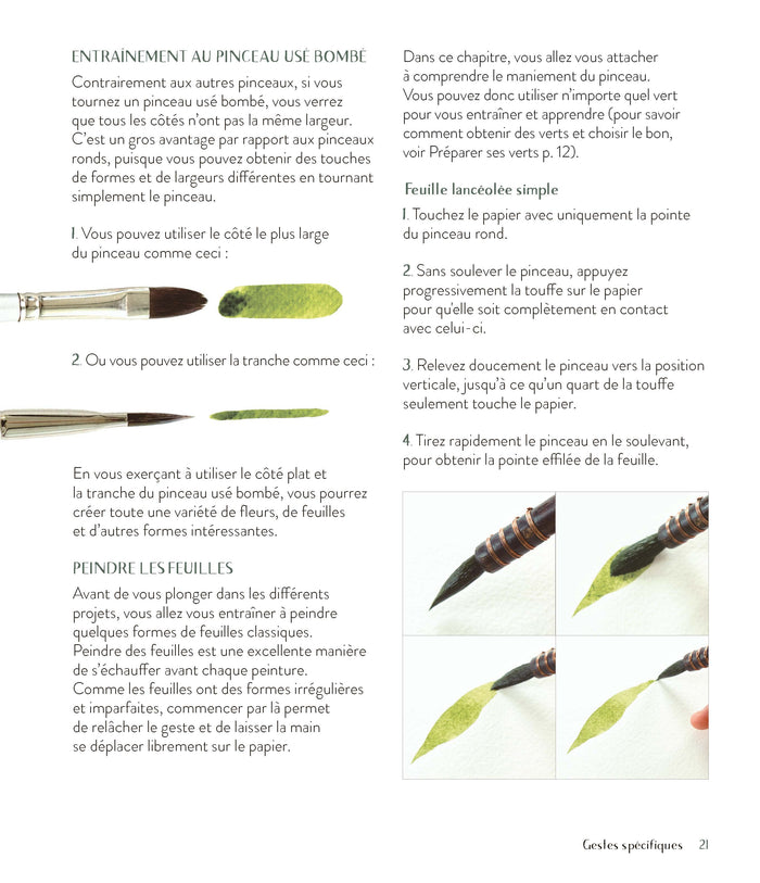 Fleurs sauvages à l'aquarelle