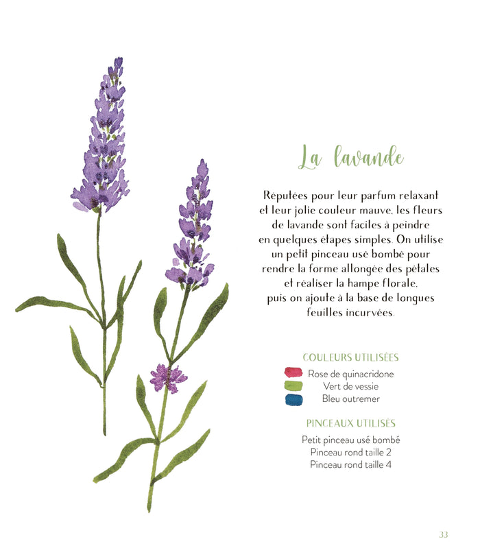 Fleurs sauvages à l'aquarelle