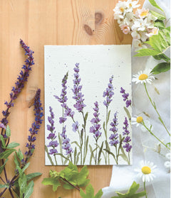 Fleurs sauvages à l'aquarelle