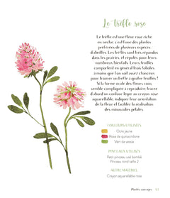 Fleurs sauvages à l'aquarelle