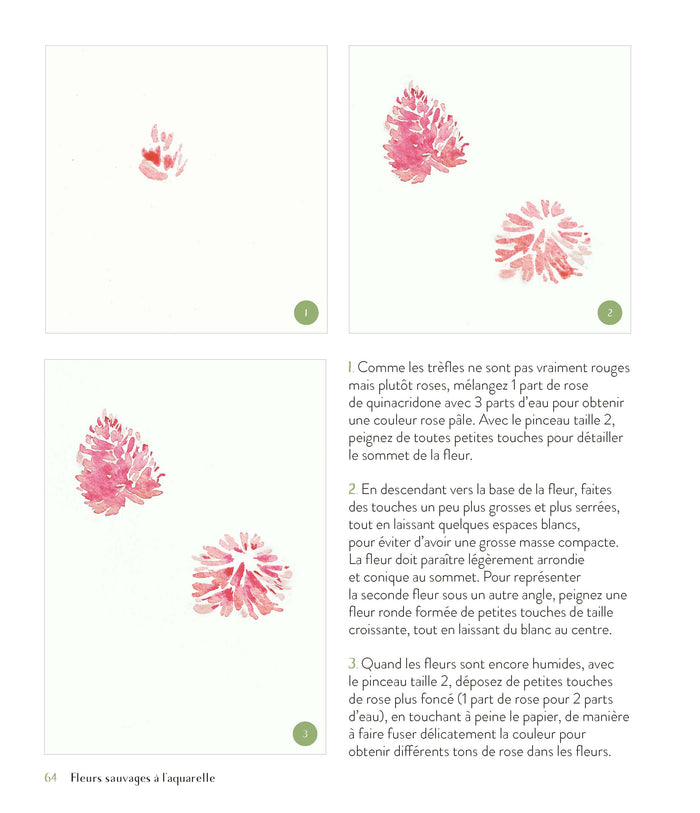 Fleurs sauvages à l'aquarelle