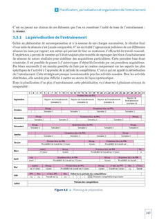 Licence STAPS