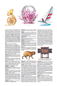 Petit Larousse Illustré 2026