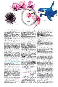 Petit Larousse Illustré 2026