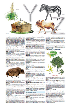 Petit Larousse Illustré 2026