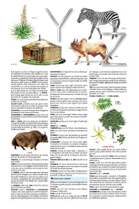 Petit Larousse Illustré 2026