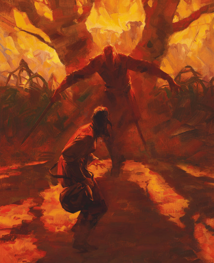 Eragon Collector illustré