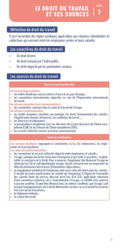 Le Petit Social 2025