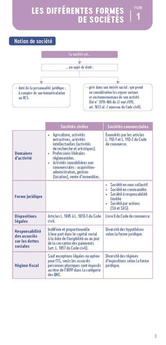 Le petit droit des sociétés 2025