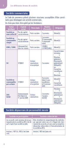 Le petit droit des sociétés 2025