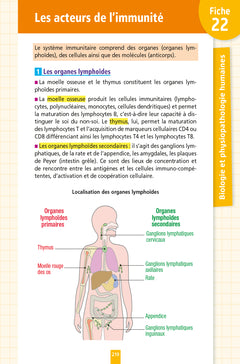 Objectif BAC Fiches Tout-en-un 1re-Term ST2S Mes épreuves finales du Bac