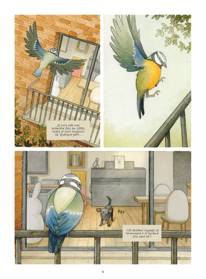 Marie, récit d'une GPA