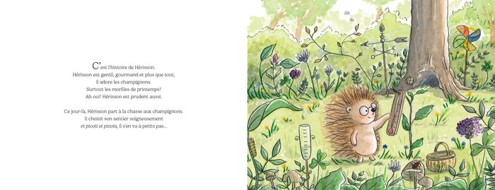 Un jour, un hérisson