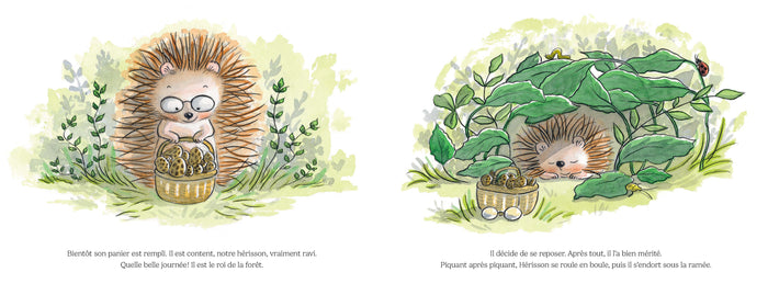 Un jour, un hérisson