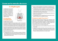 10 minutes pour détendre les muscles du stress
