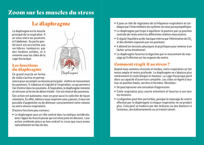 10 minutes pour détendre les muscles du stress