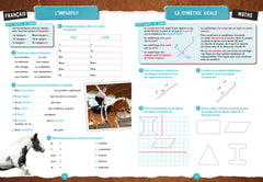 Cahier vacances Au Galop de la 6e à la 5e