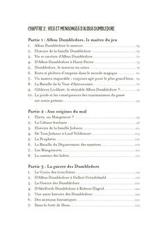 La face cachée d'Harry Potter