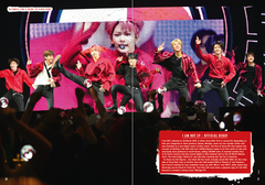 Stray Kids : La Story