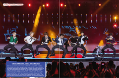 Stray Kids : La Story