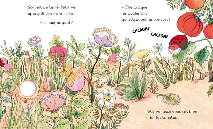 Petit ver au potager