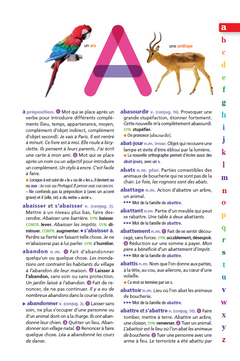 Le dictionnaire Larousse Junior