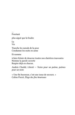 La Fin de l'absolumine