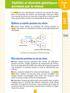 Objectif Bac Fiches Tout-en-un Tle Spé Physique-Chimie + Spé SVT + Philo + Grand Oral