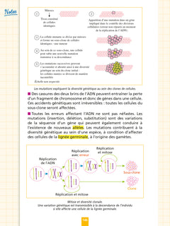 Objectif Bac Fiches Tout-en-un Tle Spé Physique-Chimie + Spé SVT + Philo + Grand Oral