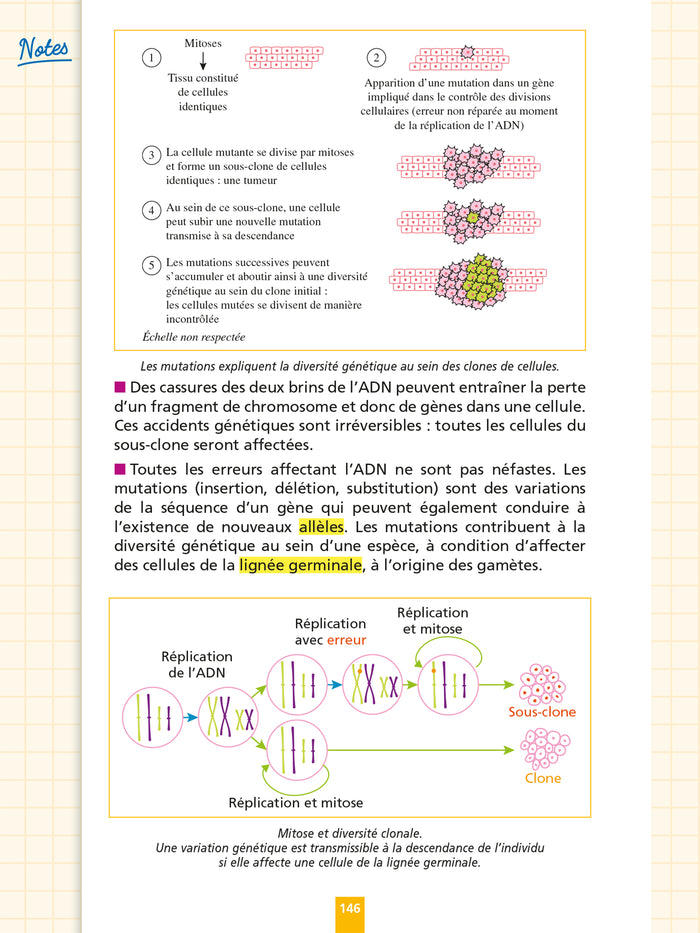 Objectif Bac Fiches Tout-en-un Tle Spé Physique-Chimie + Spé SVT + Philo + Grand Oral