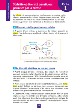Objectif Bac Fiches - Spécialité SVT Terminale
