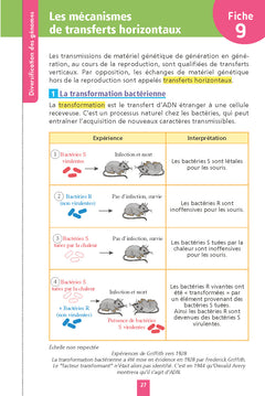 Objectif Bac Fiches - Spécialité SVT Terminale