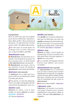 Larousse dictionnaire des débutants 6/8 ans CP/CE
