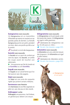 Larousse dictionnaire des débutants 6/8 ans CP/CE