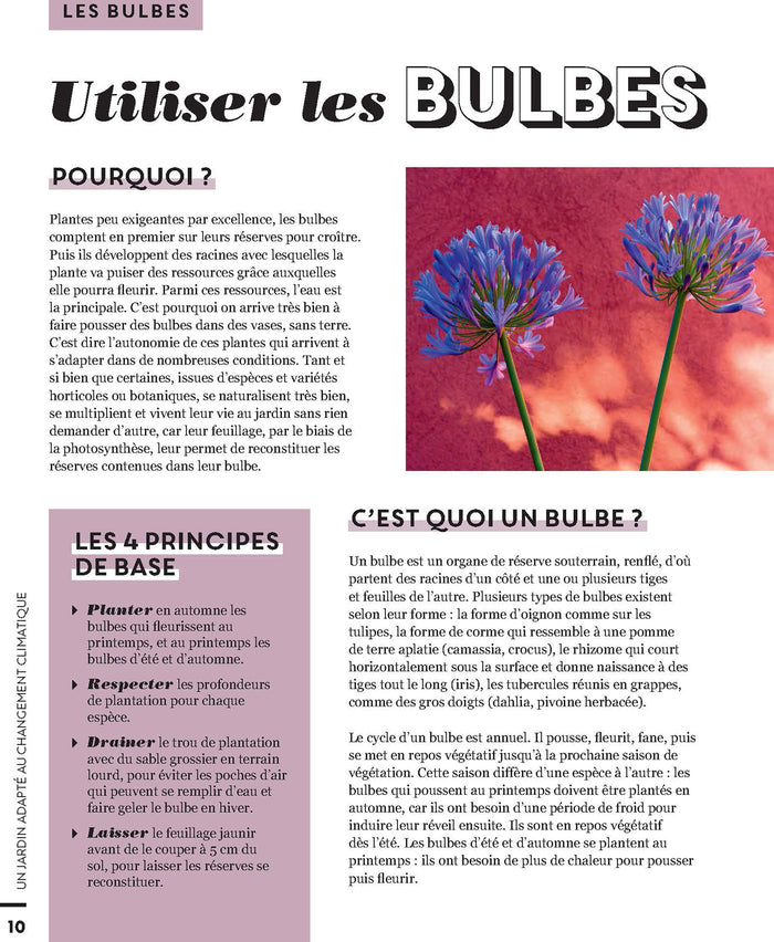 Un jardin adapté au changement climatique