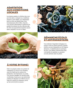 Faire ses semis au potager