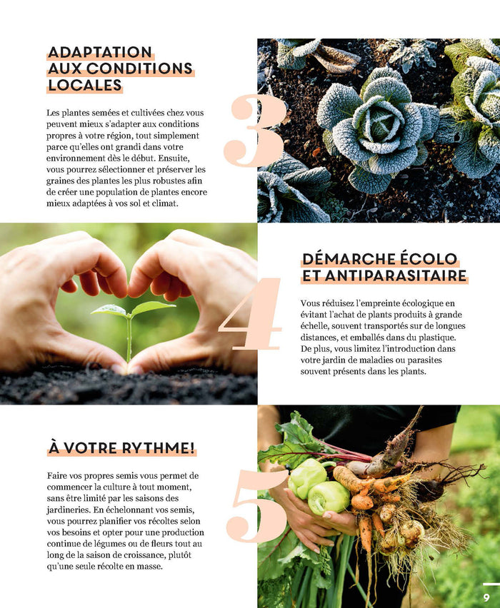 Faire ses semis au potager