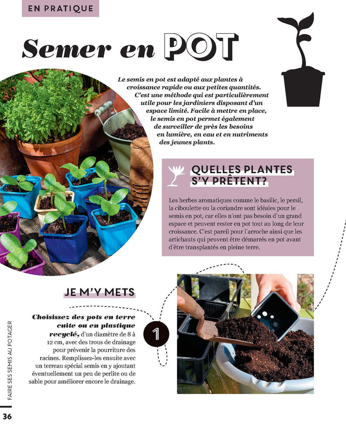 Faire ses semis au potager
