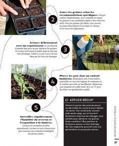 Faire ses semis au potager