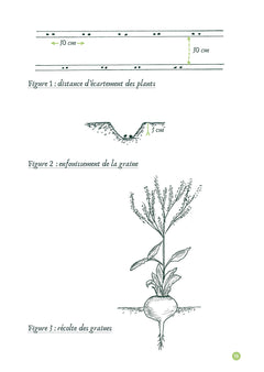 Mémento du potager
