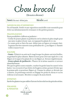 Mémento du potager