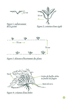 Mémento du potager