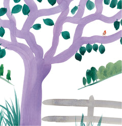 Mon imagier à raconter - Les Petites Bêtes