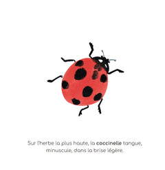 Mon imagier à raconter - Les Petites Bêtes