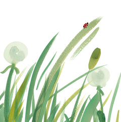 Mon imagier à raconter - Les Petites Bêtes